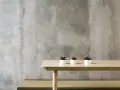 Trzy małe sukulentki w białych doniczkach na drewnianym stole. Tło to surowa, szara raufaza.