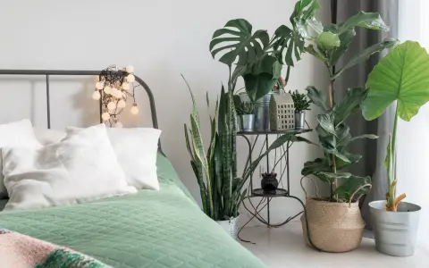 Sypialnia z zieloną pościelą i szkodliwe kwiaty doniczkowe, takie jak monstera i sansewieria, tworzą przytulną atmosferę.