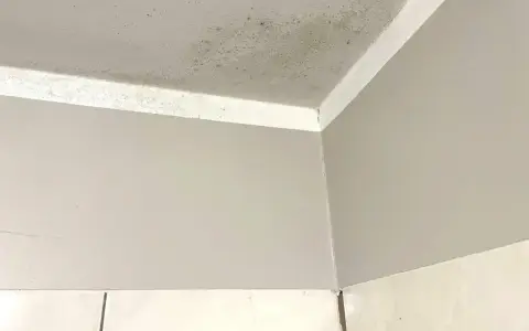 Narożnik pokoju z widocznym zielonkawym nalotem, który przypomina grzyb na ścianie.