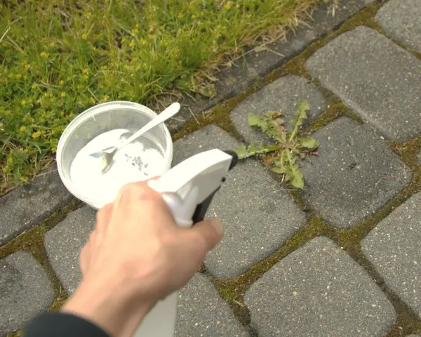 Domowy sposób na chwasty: ręka trzymająca spryskiwacz z roztworem, obok miseczka z sodą i łyżeczka.