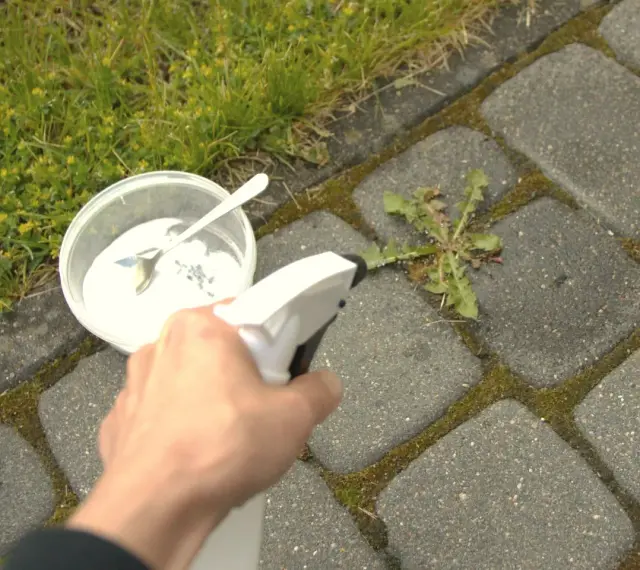 Domowy sposób na chwasty: ręka trzymająca spryskiwacz z roztworem, obok miseczka z sodą i łyżeczka.