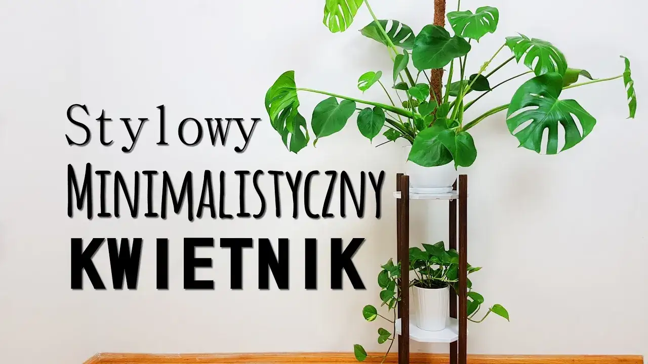 Zdjęcie Z czego zrobić kwietnik do domu? Najlepsze materiały i pomysły DIY
